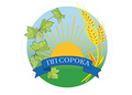 ФЛП Сорока Игорь Федорович